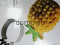 204bf91b417ba8038877b7bd12a0