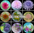 0d7dace94ae98e1dfffeb3cd2623